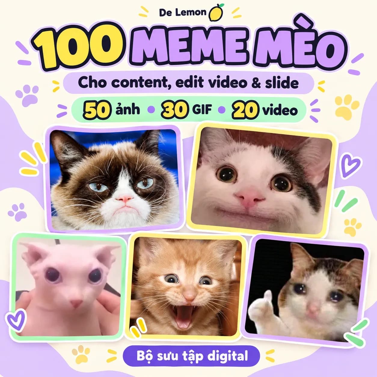 Bộ 100 Meme Mèo cho Content, Edit Video & Slide